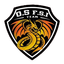 Orange Sport FSI logo