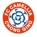 Chongqing Dikai logo - Jincheng VS Chongqing Dikai Live Score