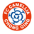 Chongqing Dikai logo