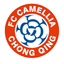 Chongqing Dikai logo