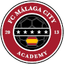 Malaga City logo