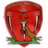 Sawmer logo