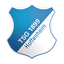 Hoffenheim U19 logo - Ger U 31897 Results
