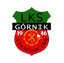 Gornik Strachocina logo