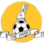 March Town United logo