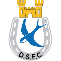 Dungannon Swifts Reserves logo