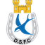 Dungannon Swifts Reserves logo