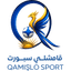 Qamishli logo