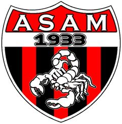 AS Ain Mlila logo