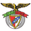 SC Angrense logo
