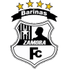 Zamora II logo - Cf VS Zamora Ii Live Score