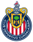 Chivas Guadalajara U20 logo