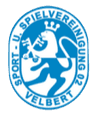 SSVg Velbert logo