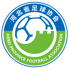 Hebei Snow Ruyi Women logo