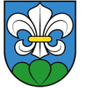 Lyss logo - Lyss VS Pratteln Sport
