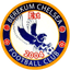 Berekum Chelsea Youth logo