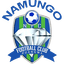 Namungo FC logo