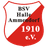 BSV Halle-Ammendorf logo