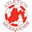 CD Mexiquense logo