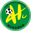 Hubei (w) logo - W VS Hubei W Result Today