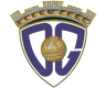 CD Guadalajara logo