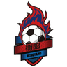 Hengyang Team logo