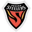 Pohang Steelers logo
