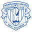 Noarlunga United logo