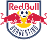 Bragantino RB Youth logo - U VS Gremio Youth Score Today