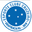 Cruzeiro Arapiraca logo