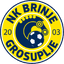 Brinje Grosuplje U19 logo