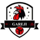 Gareji Sagarejo logo - Sagarejo VS Samgurali Tskh Live Score
