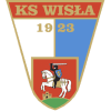 Wisla Pulawy logo - Szczecin VS Wisla Pulawy Result