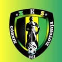 Gornik Zlotoryja logo - Zlotoryja VS Blyskawica Gac Result Today