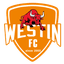 Foshan Sports Women logo