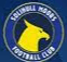 Solihull Moors Women logo - Women VS Solihull Moors Women Result