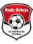 Academia Rebeja U19 logo
