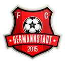 Hermannstadt logo - Hermannstadt VS Fc Rapid Live Score