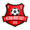 Hermannstadt logo