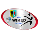 KTS-K Luzino logo - Luzino VS Arka Gdynia Score