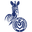 MSV Duisburg (w) logo