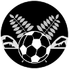 Ridge Hills Utd logo - Utd VS Park Ridge Score Today