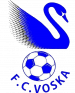 Voska Sport logo