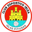 Ibiza Islas Pitiusas logo