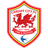 Cardiff City U23 logo - Eng U League 32505 Live Score