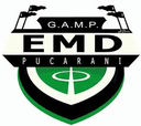 Club Deportivo Pucarani logo - Pucarani VS Hiska Nacional Score Today