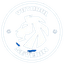 ACS Viitorul Severin logo