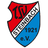 TSV Steinbach Haiger logo