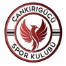 Cankirigucu logo