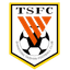 Taishan Football School U16 logo
